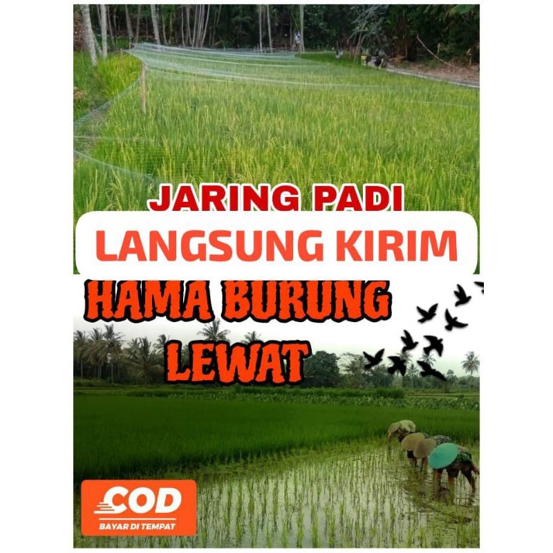 Flowersbloom Jaring Burung Emprit / Jaring Padi / Jaring Pelindung Padi
