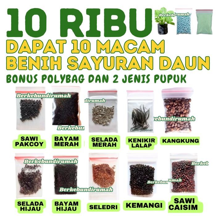 Ready Stock Paket 10 Jenis Benih Sayuran Daun Bibit Sayuran Lengkap 10 Jenis Kangkung Bayam Hijau