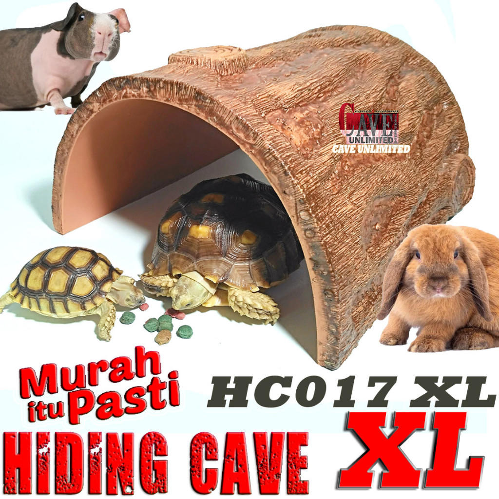 HC017XL HIDINGCAVE SPOT JUMBO GOA TEMPAT SEMBUNYI REPTILE TORTOISE KURA DARAT SULCATA PARDALIS