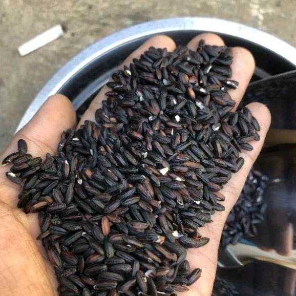 

Tepung ketan hitam 1kg MURNI TANPA CAMPURAN