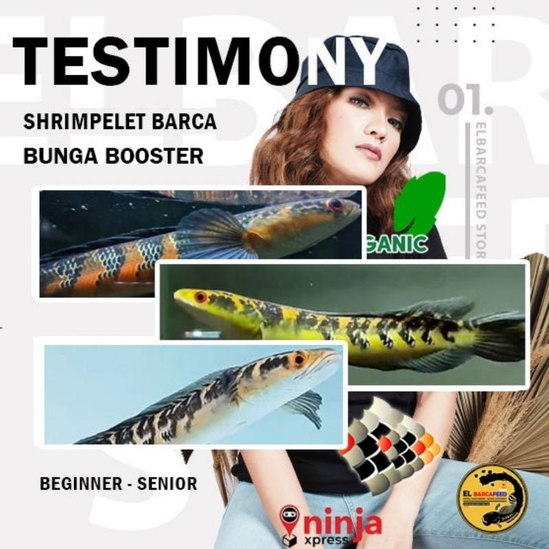 PELET BUNGA SHRIMPELET BARCA pemecah cabung bunga solid pakan channa maru YS RED X+ Melanin Guanin