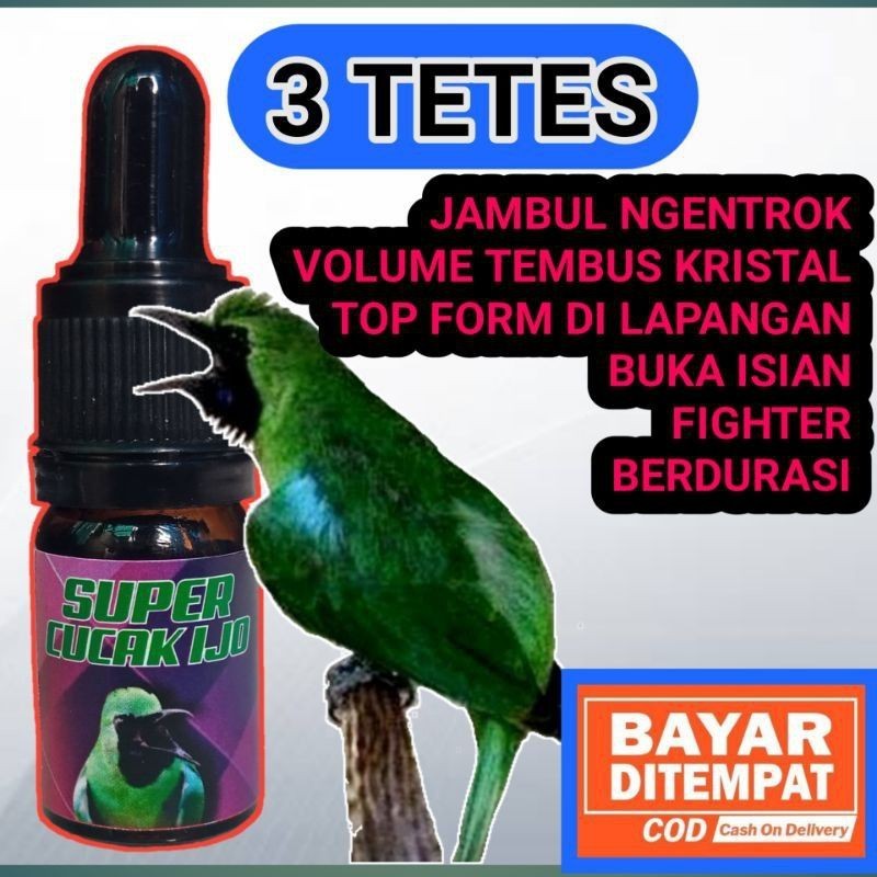SUPER CUCAK IJO VITAMIN PENGGACOR BURUNG CUCAK IJO FHTER BUKA ISIAN