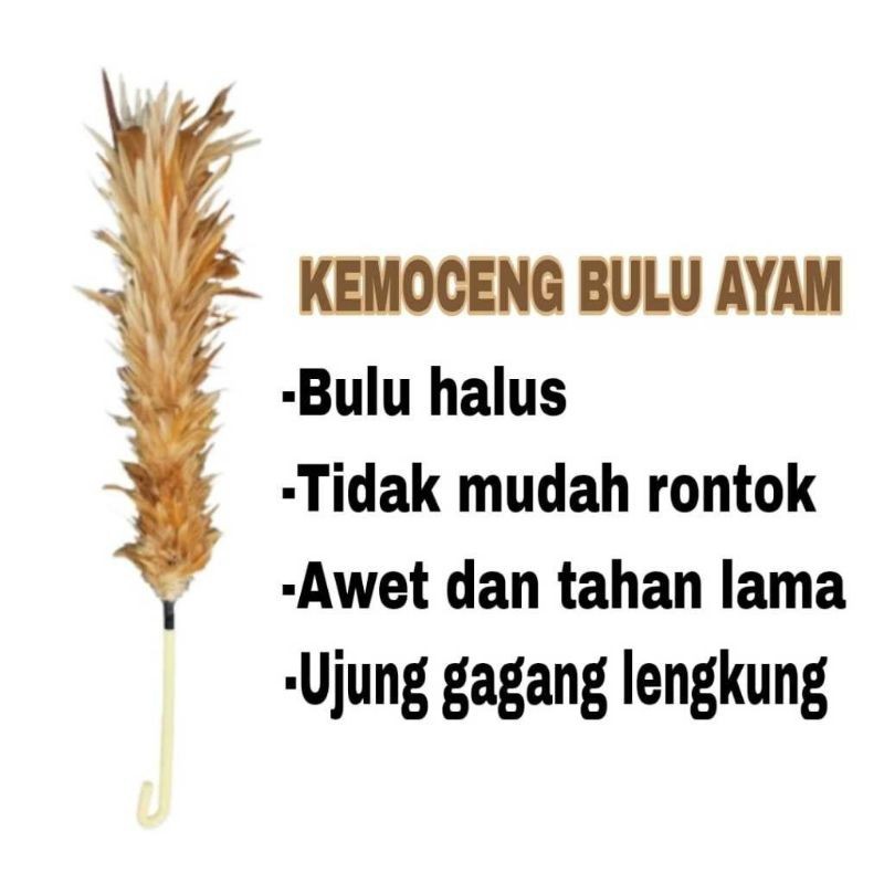 Kemoceng Bulu Ayam Rrt/Kemoceng Bulu Ayam Asli