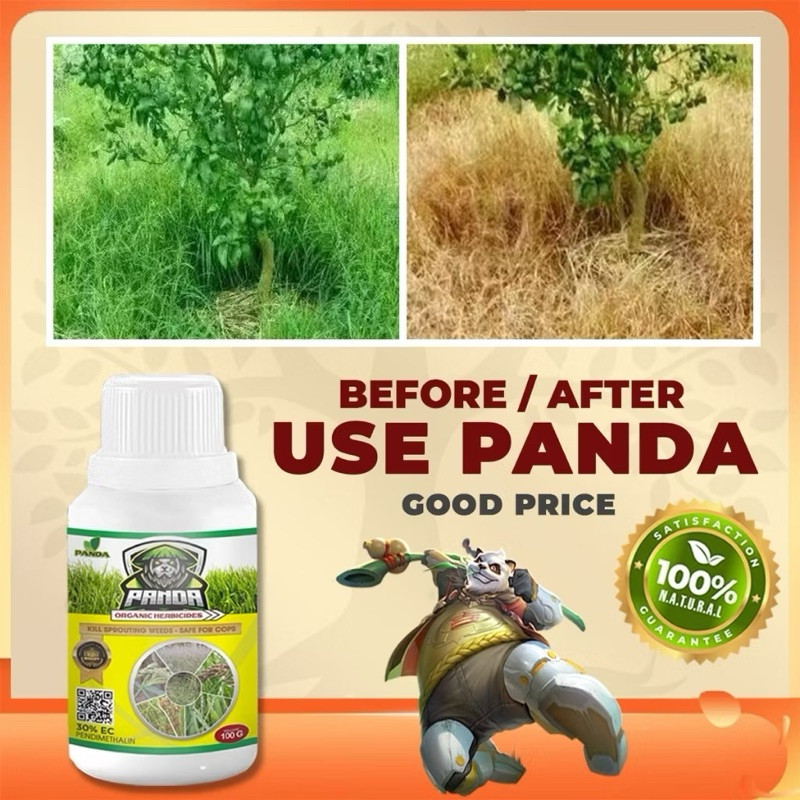 [ BELI 3 GRATIS 1 ] RACUN RUMPUT LIAR KILL GRASS PANDA PEMBASMI RUMPUT LIAR, HAMA DAN GULMA TANPA