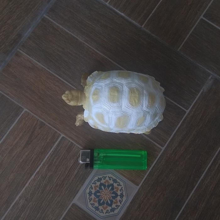 Patung/Resin/Pajangan/Hiasan/Mainan/Souvenir Kura Darat Sulcata Albino Terlaris