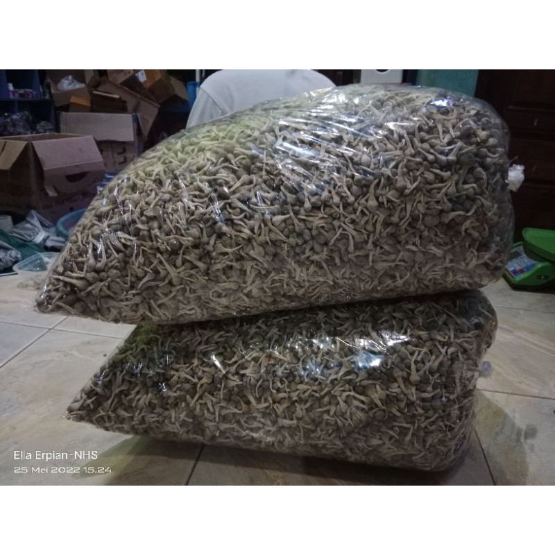 Empot Ayam Hitam dan Putih Madura , Majakani Aceh Paket 3 botol