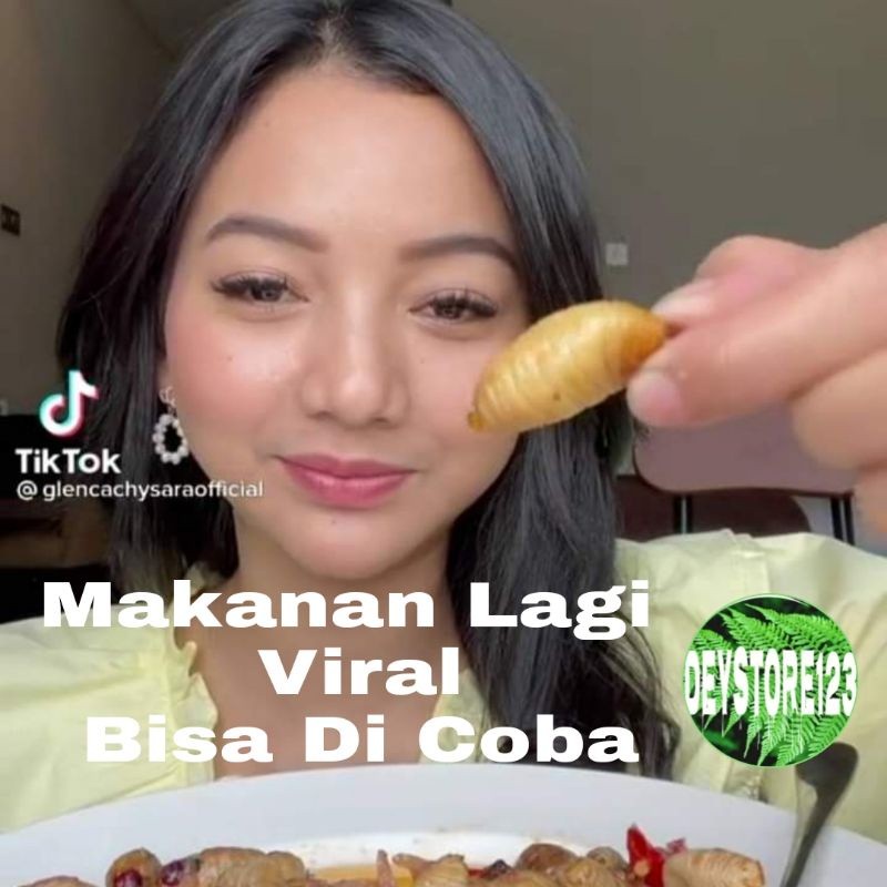 Jual Ulat sagu aren hidup per 10 Ekor Viral