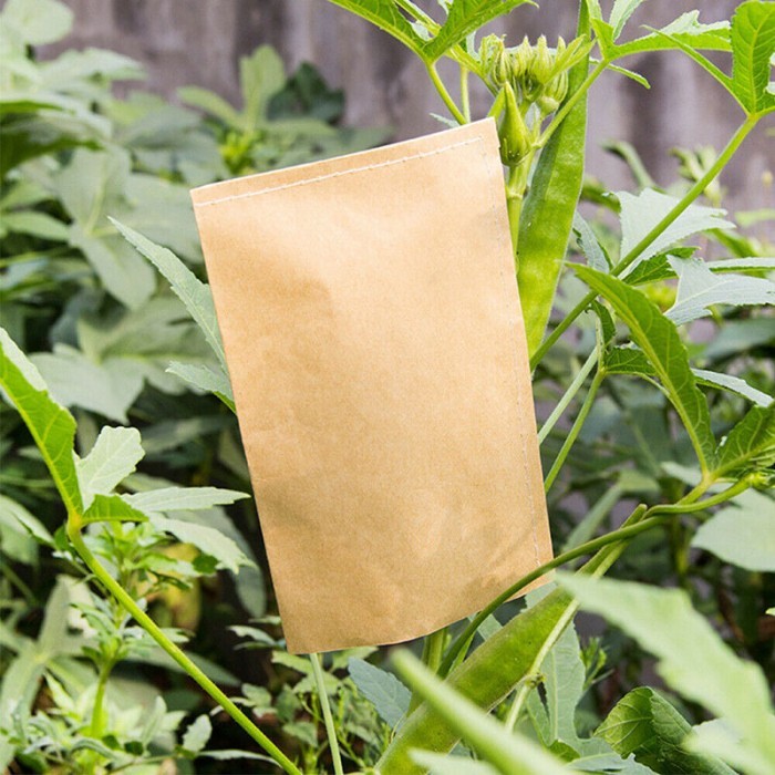 6x10cm Kraft Paper Brown Seed Bags Isolation Sack Seed Packaging/