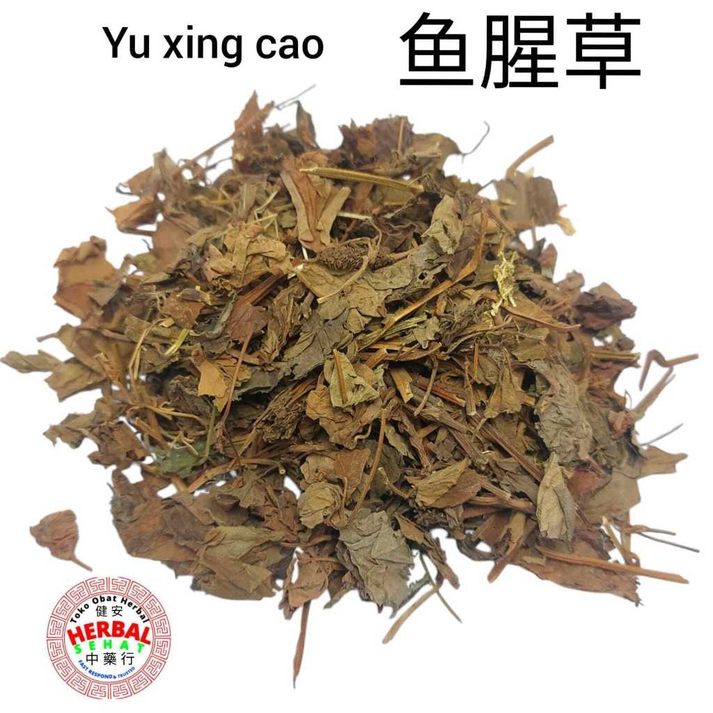 

Yu Xing Cao 300 Gram Fo Er Cao Heartleaf Houttuynia Herb [PREMIUM]