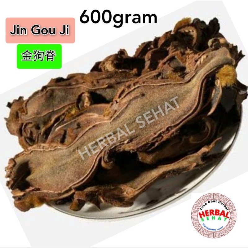 

Jin Mao Gou Ji 600gram Jin Gou Ji / Gouji Rhizoma Cibotii [PREMIUM]