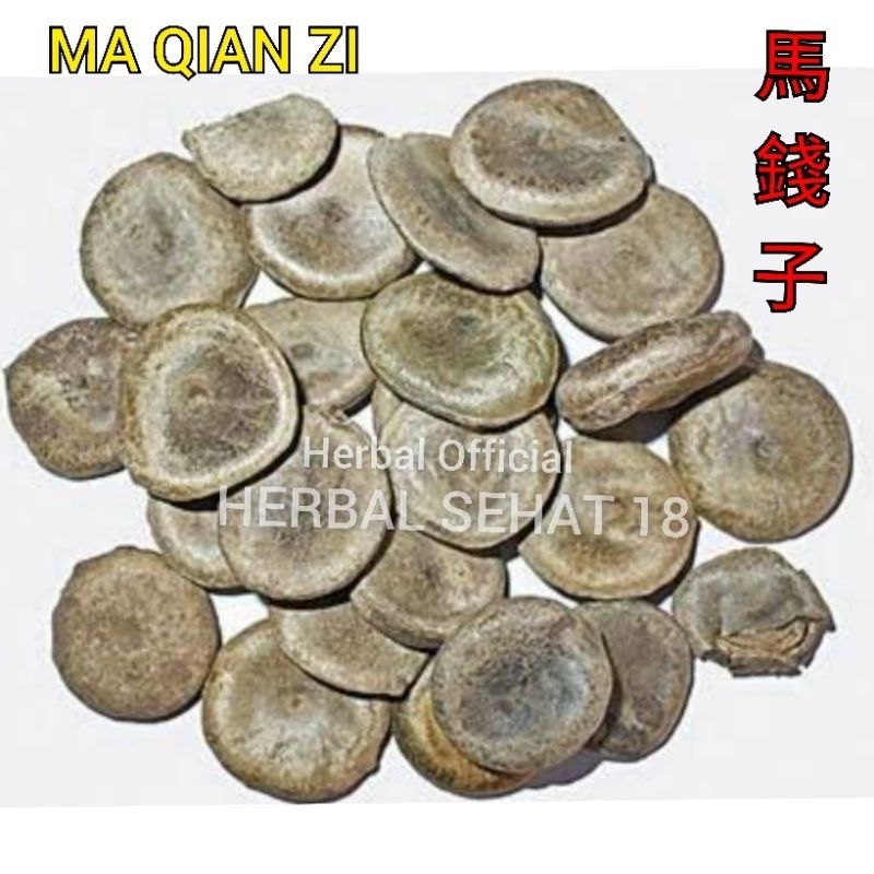 

Ma Qian Zi 600 Gram Ma Cien Zi - Nux vomica [PREMIUM]