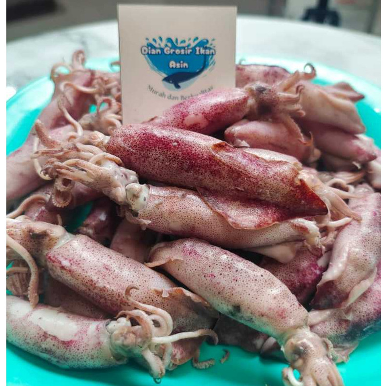 

SANS Grosir Ikan Asin Dian - Ikan Asin Cumi Sontong Ukuran Jumbo 500 Gram (Cumi Rebus)