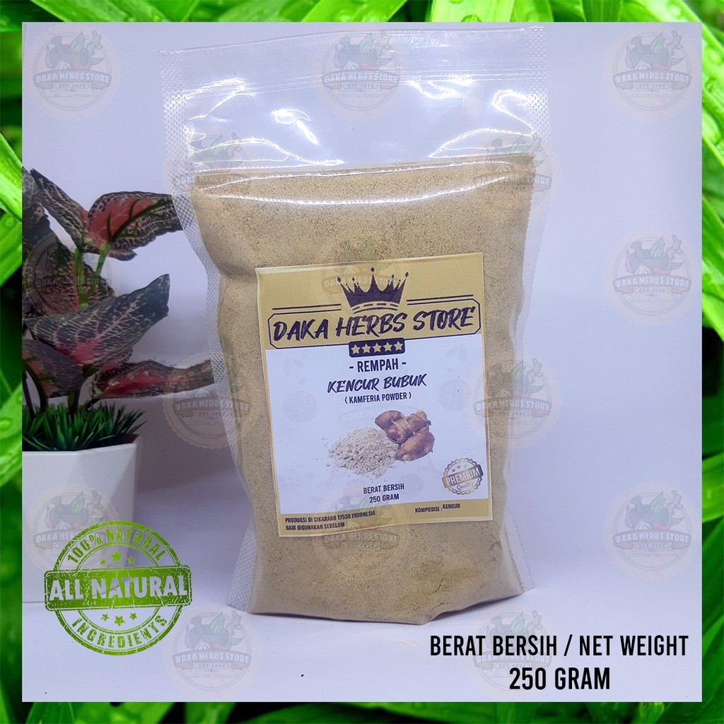 

SANS Kencur Bubuk 100% Murni (250 Gram)