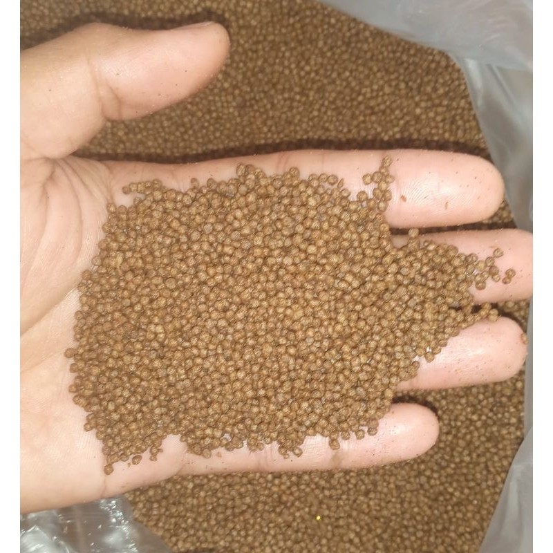 RB22 pelet ikan 781-1 HI-PROVIT