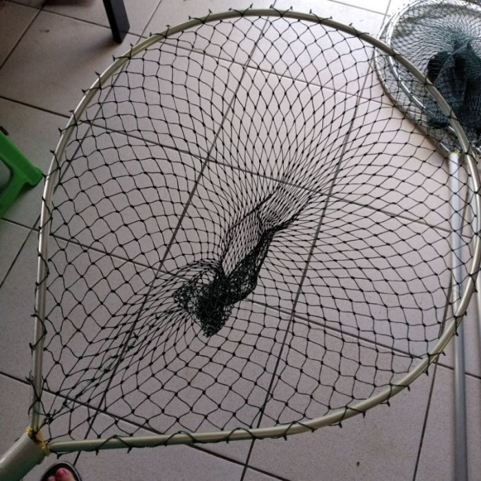 GG Seser Serok ikan besar