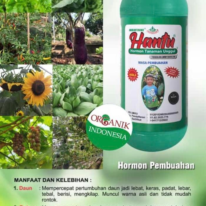 Paket Pembuahan Jimmy Hantu 1 liter (poc dan npk )