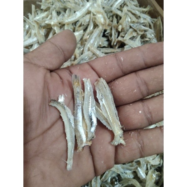 

Terlaris! Teri Jengki Belah gr Enak Untuk Sambal