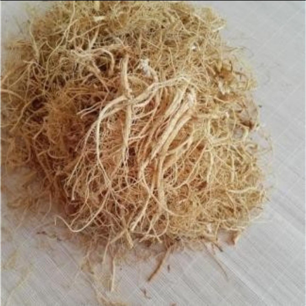 

Terlaris! 25 gram AKAR GINSENG BAI SHEN XU GINSENG