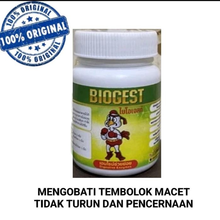 Biogest Thailand Obati Ayam Sakit Pencernaan Tombolok Macet Obat Ayam