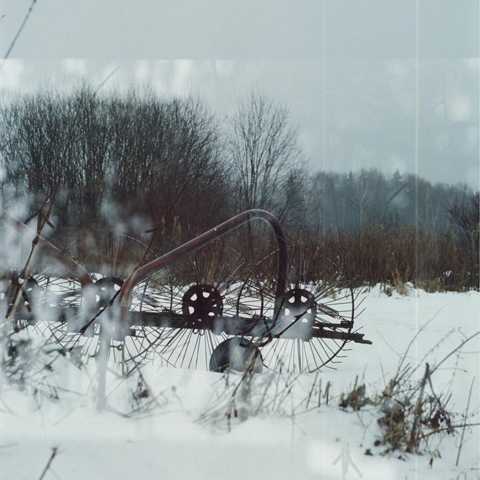 Nolan 800 Roll Film 135mm ISO 800 Color Film 36exp