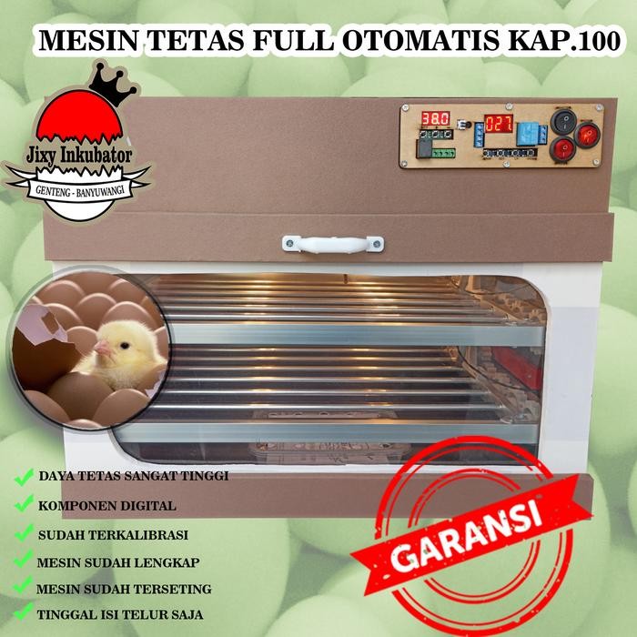MESIN PENETAS TELUR FULL OTOMATIS KAPASITAS 100 BUTIR