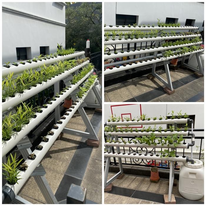 Terlaris Instalasi Hidroponik Pipa 2,5 Inch 3 Meter Rangka Baja Ringan Full Set