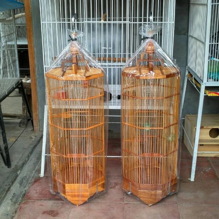 Kandang branjangan kayu jati