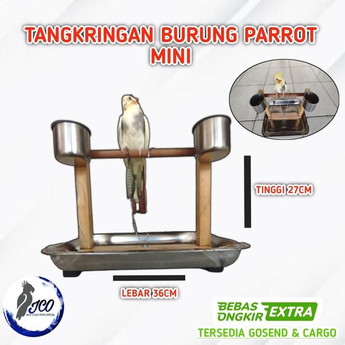 TANGKRINGAN BURUNG PARROT TANGKRINGAN TRAINING BURUNG FALK NURI HANTU