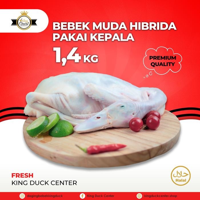 

DAGING BEBEK HIBRIDA 1,4 KG PAKAI KEPALA