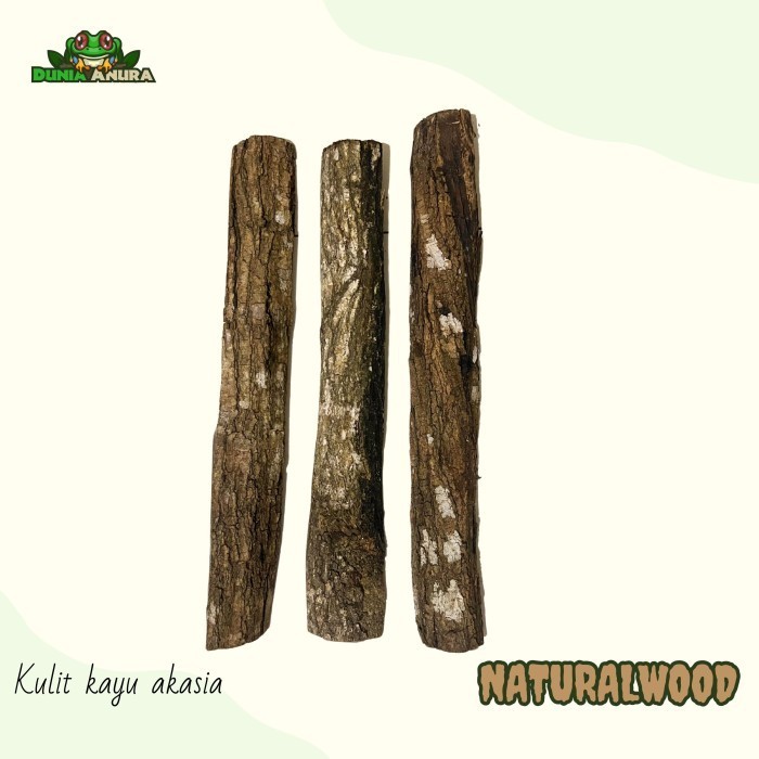 [Expert] Kulit kayu untuk background vivarium