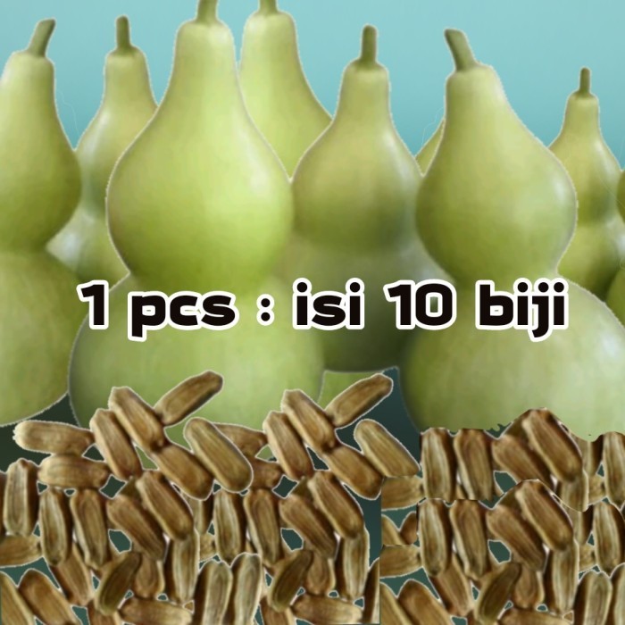 Labu botol kering/labu kendi/labu unik/labu air bentuk botol/lagenaria/bahan membuat botol minuman