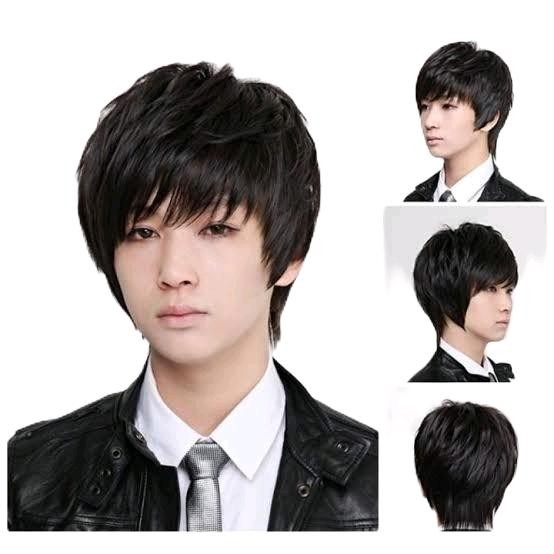 PREMIUM wig cowo/wig pendek/wig pria/wig korea wolf cut/wig 01