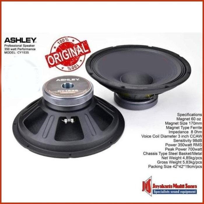 Speaker Woofer Ashley Cy1535/Cy 1535 15 In D Bass 350Watt-700 Watt