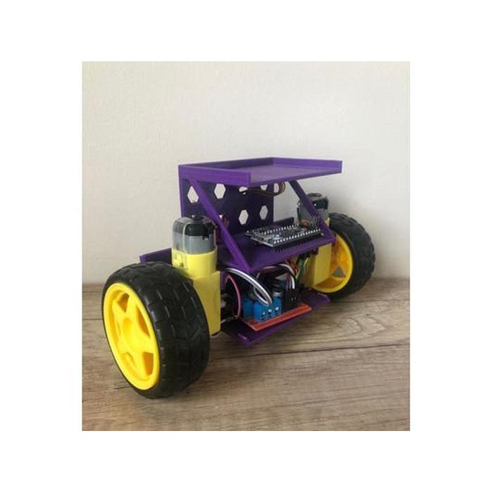 Customizable Self Balancing Arduino Robot/Print 3d full body