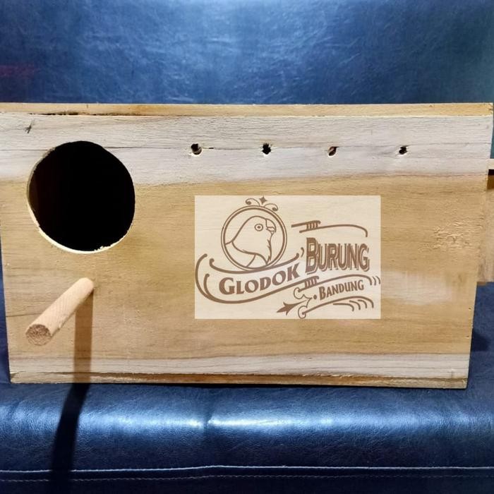 Glodok Parrot Pantau Kaca Burung Sun Conure Falk Dll