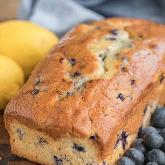 

GLUTEN FREE RAISIN CAKE KODE 331