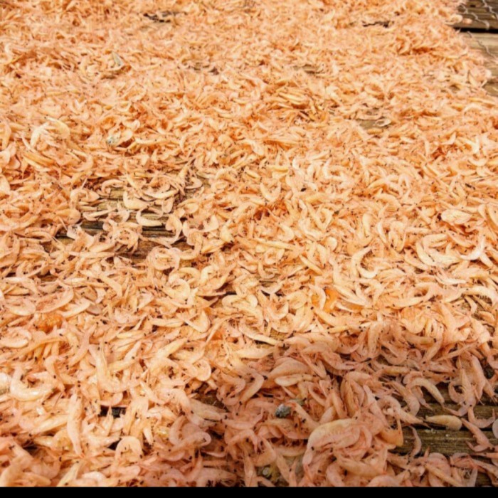 

ikan asin rebon udang 250gr