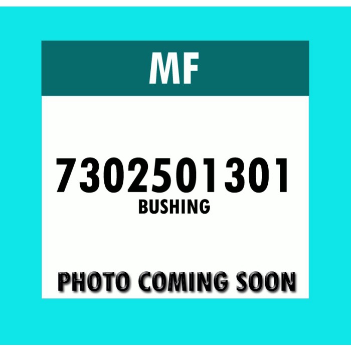 Bushing Support 7302501301 Massey Ferguson