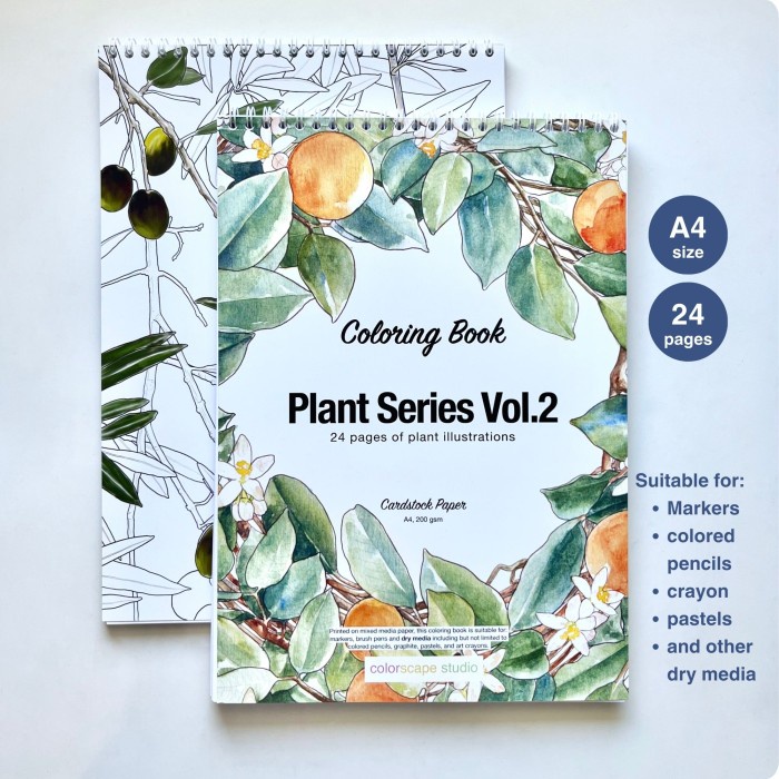 

Coloring Book Plant Series Volume 2 - For Markers & Mixed Media