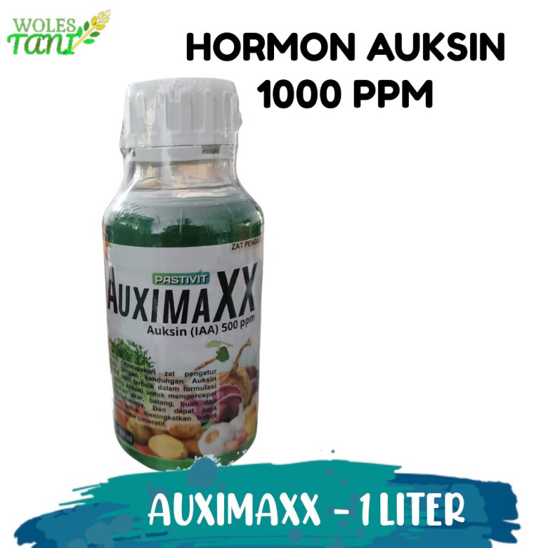 Hormon Auksin Murni 1000 ppm AuximaXX 1 Liter Perangsang Akar