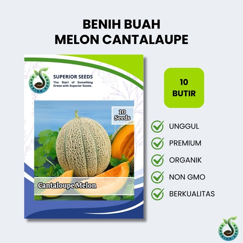 Biji Benih Melon Cantaloupe (Superior Seeds)