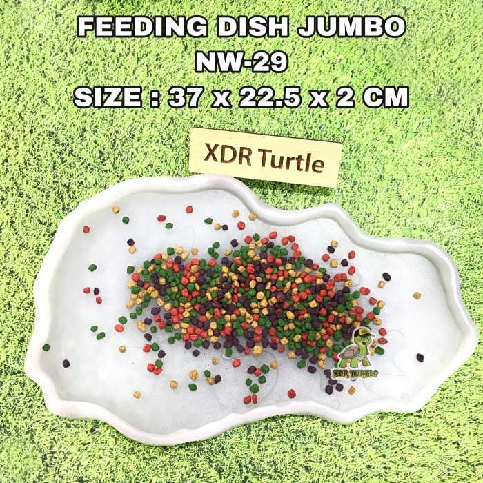 FEEDING DISH NW-29 TEMPAT MAKAN TORTO REPTIL JUMBO SULCATA ALDABRA