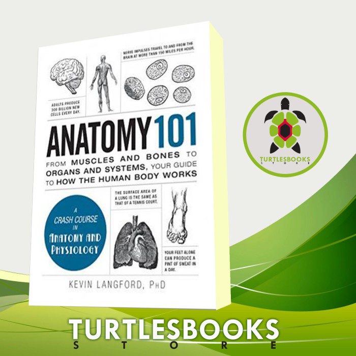 

HOT SALE! Anatomy 101: From Muscles and Bones to Organs and Systems, Your Guide