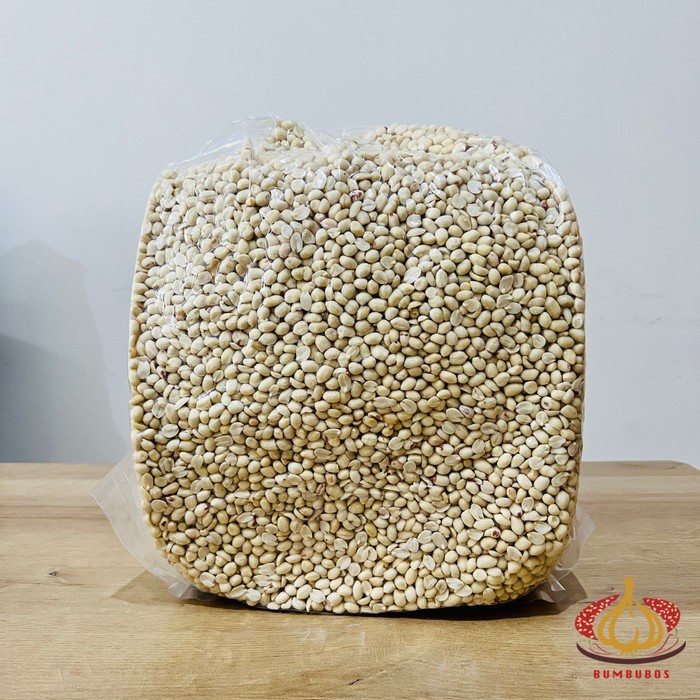 

Kacang Tanah Kupas 61/71 1 dus karton 25 kg ukuran kecil reguler kargo
