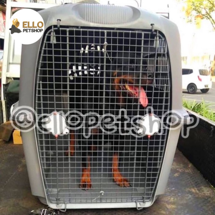 Kennel Box Besar / Pet Cargo / Kandang Anjing Besar Jumbo Xl