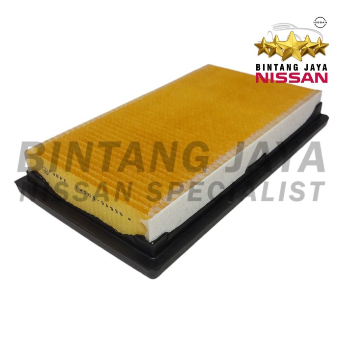 Air Filter Udara Nissan Grand Livina L10 L11 Evalia Original Nissan