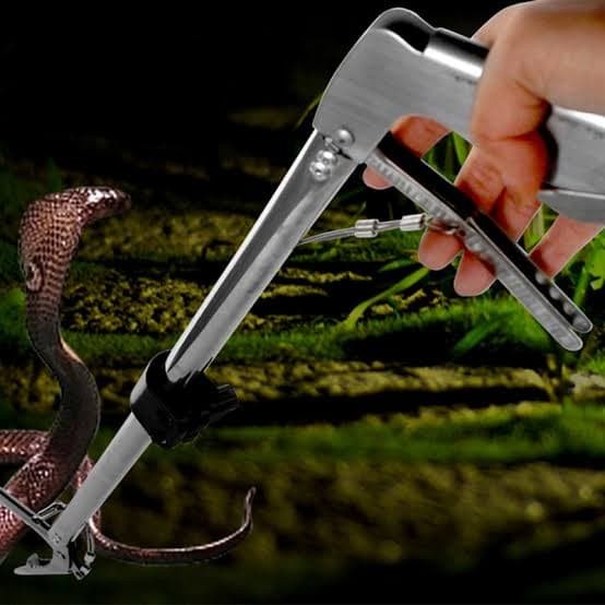 stik stick tongkat galah capit capitan alat ambil tangkap ular reptil