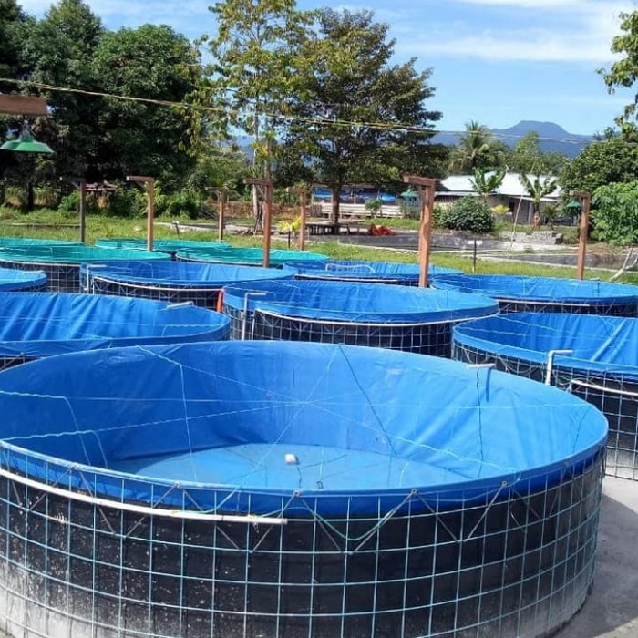 PREMIUM Kolam terpal bulat D3 T1