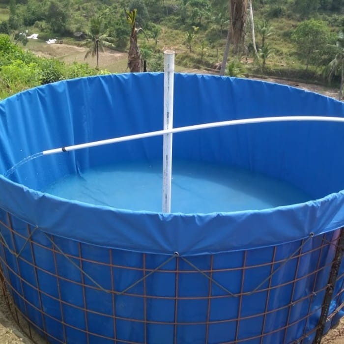 PREMIUM kolam terpal bulat d3 orchid tinggi 1