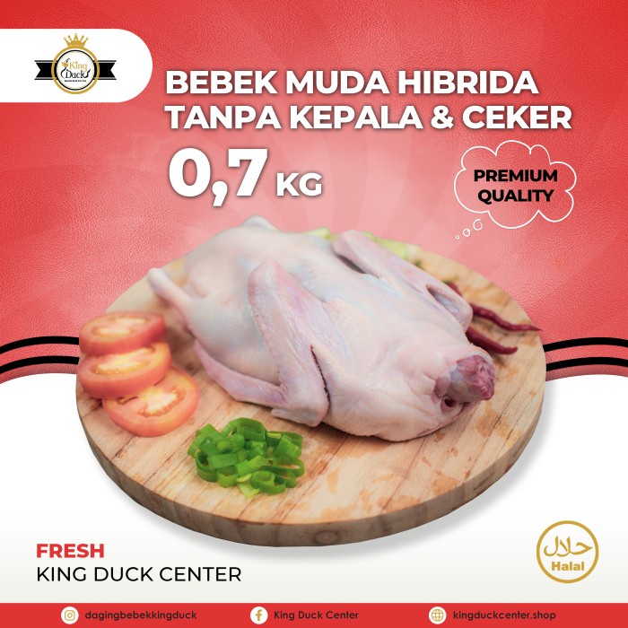 

NeW DAGING BEBEK HIBRIDA 0,7 KG TANPA KEPALA